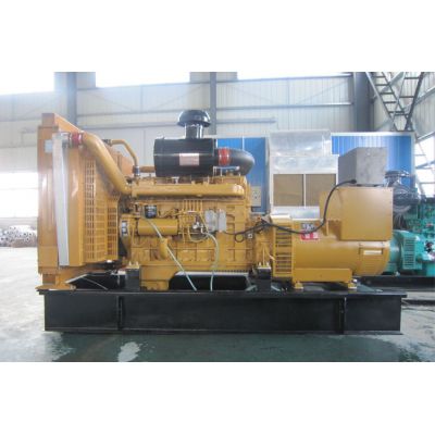 300kw上柴正新柴油發(fā)電機組-上柴正新6缸柴油機G128ZLD11柴油發(fā)電機組,缸徑/行程：135/150mm,柴油發(fā)電機組水冷發(fā)動(dòng)機功率306KW,柴油發(fā)電機組配套馬拉松斯坦福發(fā)電機。廠(chǎng)價(jià)直銷(xiāo)歡迎選購：13773399855。